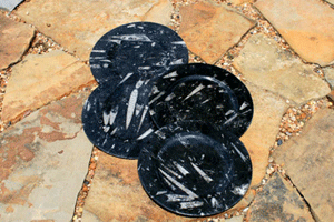 Fossil Plates Fossil Plates