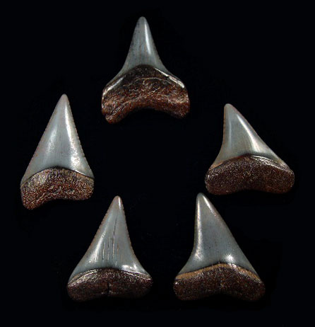 Peru - Jewelry teeth