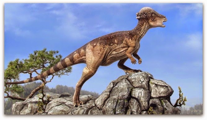 Pachycephalosaurs - Coming 2016