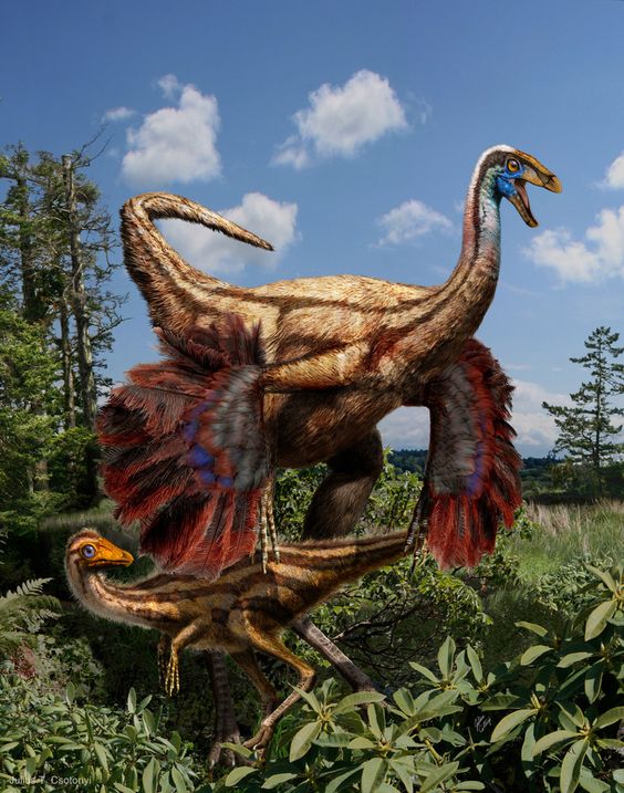 Ornithomimids / Struthiomimus - Coming 2016