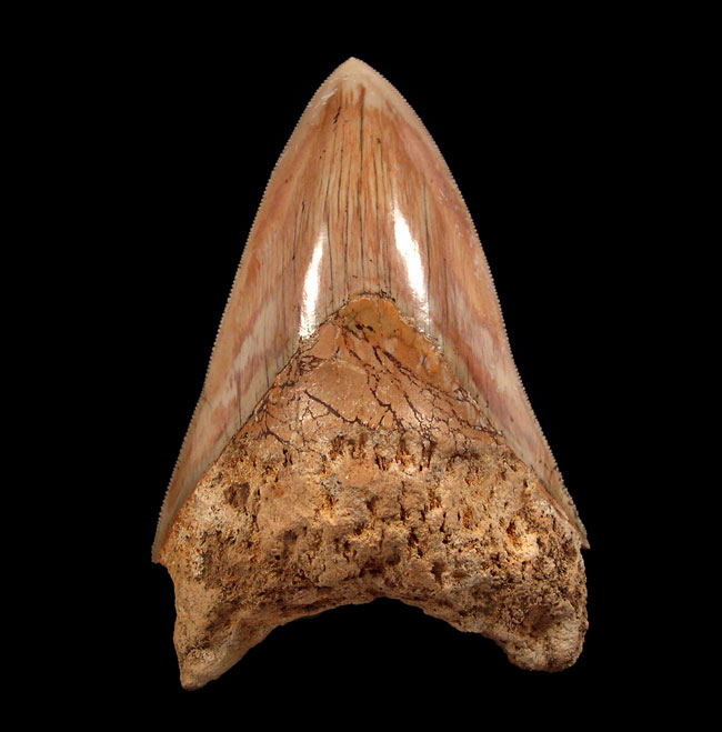 Indonesia - Commercial Grade