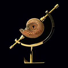 Brass Caliper display stands for sale | Buried Treasure Fossils