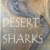 Desert Sharks By Mark Renz