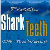Fossil Shark Teeth of the World by Joe Cocke