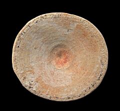 Moroccan Otodus shark vertebra for sale | Buried Treasure Fossils