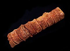 Shark Vertebrae                                    