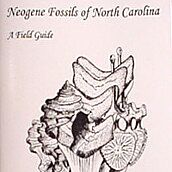 Neogene Fossils of North Carolina By Chandler & Timmerman