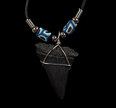 Cool Great White shark tooth necklace for sale | Buried Treasure Fossils