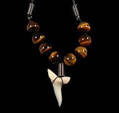 Megalodon shark tooth necklace for sale | Buried Treasure Fossils