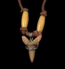 Real Megalodon shark tooth necklace for sale | Buried Treasure Fossils