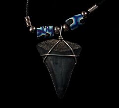 Mako shark tooth necklace for sale | Buried Treasure Fossils