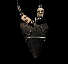Real Mako shark tooth necklace for sale | Buried Treasure Fossils