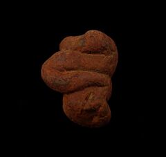 Real Coprolites for sale |: Buried Treasure Fossils