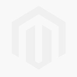 Top Quality Mastodon tooth for sale | Buried Treasure Fossils
