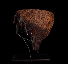 Cheap Mammoth tooth for sale | Buried Treasure Fossils