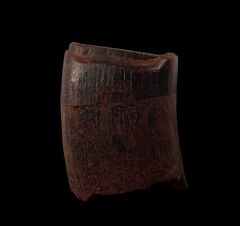 Paramylodon harlani tooth | Buried Treasure Fossils