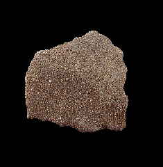 Real Dinosaur egg shell for sale | Buried Treasure Fossils