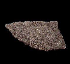 Real Dinosaur egg shell for sale | Buried Treasure Fossils