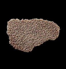 Real Dinosaur egg shell for sale | Buried Treasure Fossils