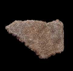 Rare Dinosaur egg shell for sale | Buried Treasure Fossils