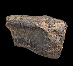 Camarasaurus ulna section from Wyoming | Buried Treasure Fossils