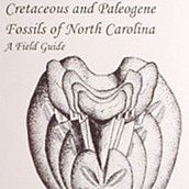 Cretaceous and Paleogene Fossils of North Carolina By John Timmerman and Richard Chandler