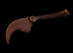 Anzu wyliei hand claw for sale | Buried Treasure Fossils