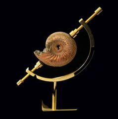 Brass Caliper display stands for sale | Buried Treasure Fossils