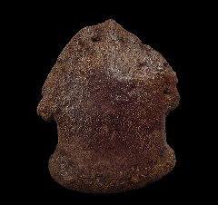 Edmontosaurus hand claw for sale | Buried Treasure Fossils