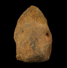 Edmontosaurus hand claw for sale | Buried Treasure Fossils