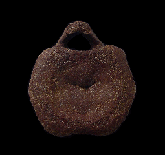 Hell Creek Edmontosaurus vertebra for sale | Buried Treasure Fossils