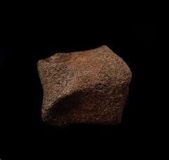 Thescelosaurus pes bone | Buried Treasure Fossils