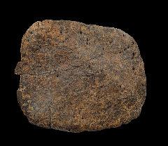 Denversaurus osteoderm