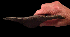 Tyrannosaurus shard tooth for sale 