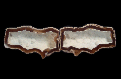 Solenastrea bournoni coral with botryoidal formation | Buried Treasure Fossils