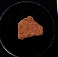 French Cretaceous dinosaur egg shell | Buried Treasure Fossils