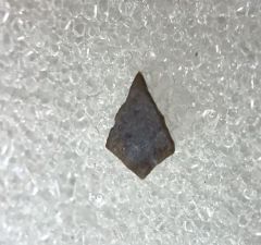 Rare Pyroraptor egg shell | Buried Treasure Fossils