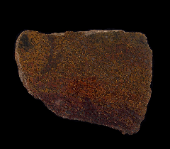 Jurassic Gem Dinosaur Bone