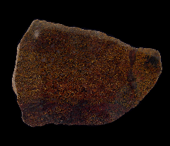 Gem Dinosaur Bone for sale | Buried Treasure Fossils