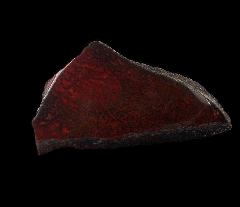 Polished Gem Bone | Buried Treasure Fossils