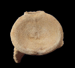 Mosasaur vertebra for sale | Buried Treasure Fossils