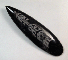 Orthoceras - M2073 | Buried treasure Fossils