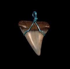 Quality Mako shark necklace