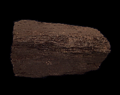 Petrified Wood - Utah