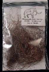 Real Wooly Mammoth hair for sale