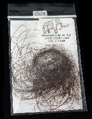 Mammuthus primigenius hair | Buried Treasure Fossils