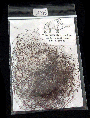 Mammuthus primigenius hair | Buried Treasure Fossils