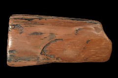 Siberian Mammuthus primigenius tusk for sale | Buried Treasure Fossils