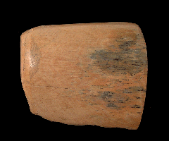 Siberian Mammuthus primigenius tusk for sale | Buried Treasure Fossils