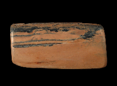 Siberian Mammuthus primigenius tusk for sale | Buried Treasure Fossils